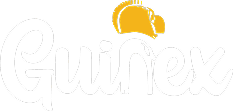 Guinex Logo Footer
